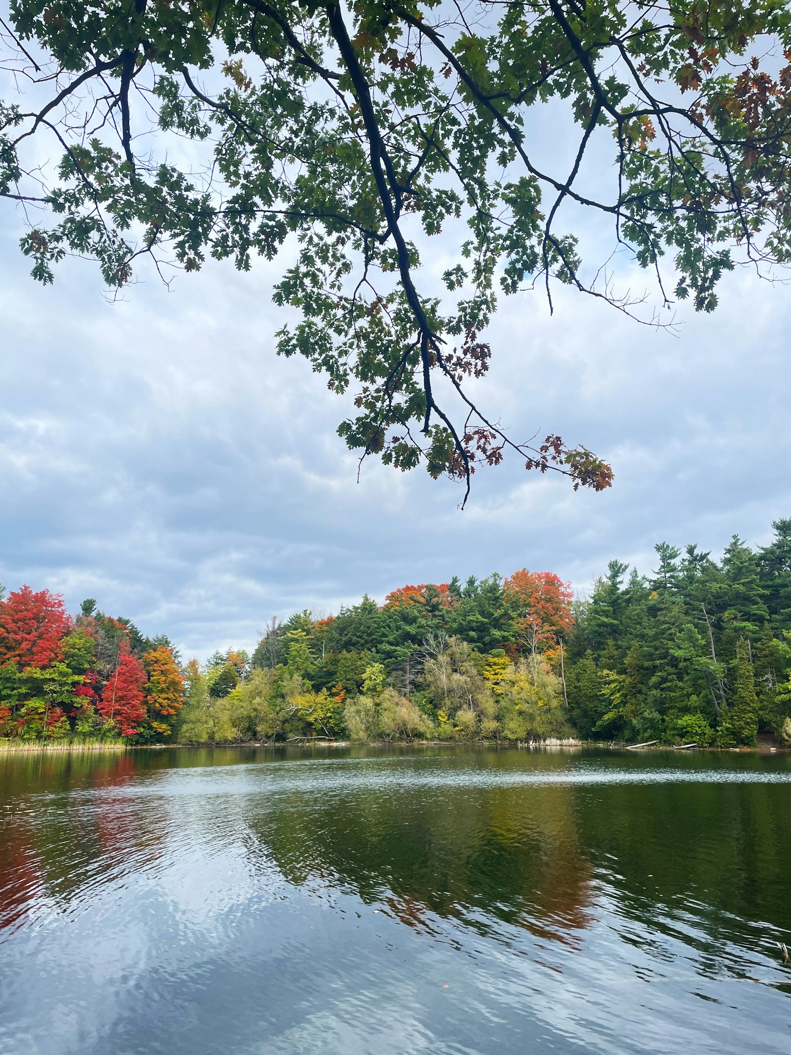 Autumn trees reflected in Bond Lake in Richmond Hill.